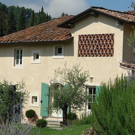 Villa Agriturismo Mareli à Camaiore Extérieur photo