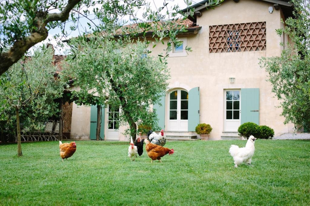 Villa Agriturismo Mareli à Camaiore Extérieur photo